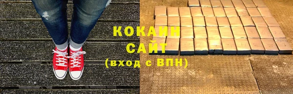 кокс Алексин