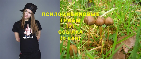 кокс Алексин
