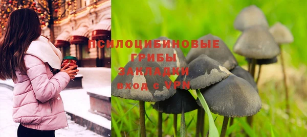 эйфоретик Алзамай